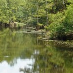 Geico Insurance Rate Quote in Philadelphia MS 39350