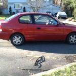 State Farm Rate Quote For 2000 HYUNDAI ACCENT GL SEDAN 4 DOOR $157.94 Per Month 9414031