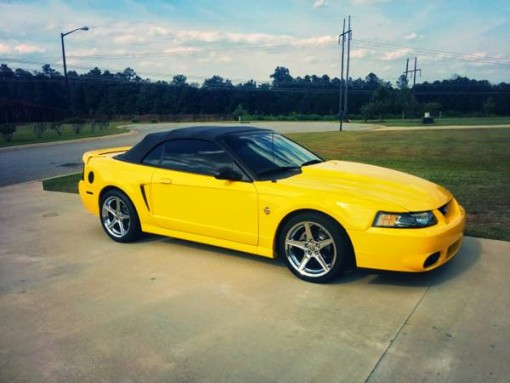 Compare MetLife Insurance Policy Quote For 1999 FORD MUSTANG COBRA SVT CONVERTIBLE $66.26 Per Month 9417283