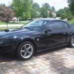 Auto Insurance Rate Quote for 2001 Ford Mustang $75 per Month